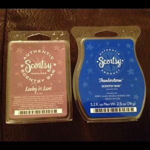 Scentsy bar lucky in love and thunderstorm