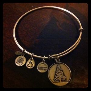 Alex and Ani Evergreen Bracelet