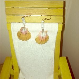 Sunrise shells from Hawaii