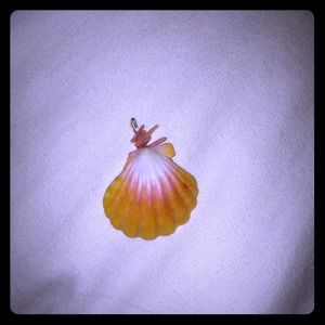 Sunrise shell pendant