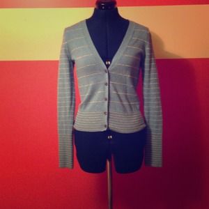 Light Blue American Eagle Cardigan