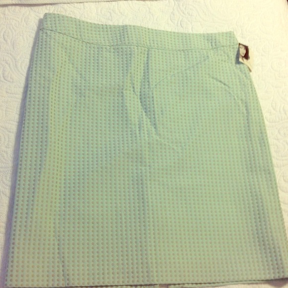 Mint skirt with gray threaded detail