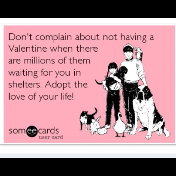 REMINDER: Adopt a Pet 💞 Save a Life 🐶