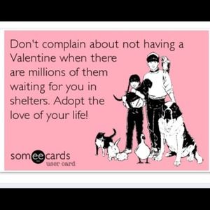 REMINDER: Adopt a Pet 💞 Save a Life 🐶