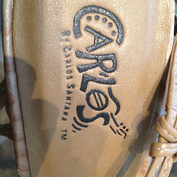 Carlos Santana - Picture 2 of 3