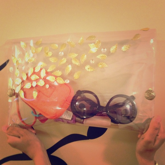 Clear plastic purse