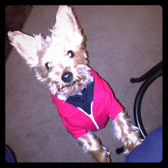 Meet my Malcolm!