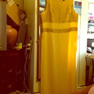 2 tone and 2- piece gold dress suit.. Never worn