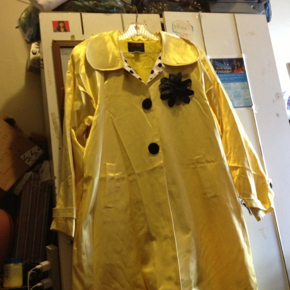 Yellow jacket - Picture 2 of 2