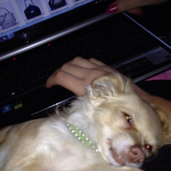 💋Meet The Seller!💋 - Picture 2 of 4