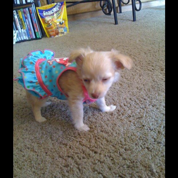 💋Meet The Seller!💋 - Picture 4 of 4