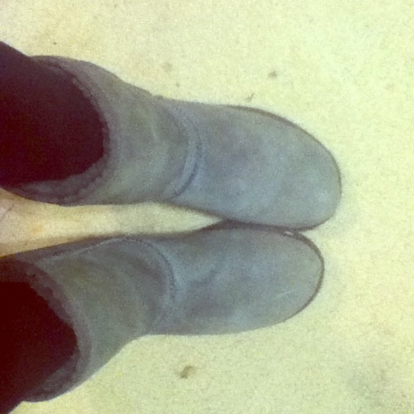 Grey Classic Short UGGS 🎀