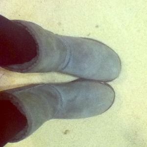 Grey Classic Short UGGS 🎀