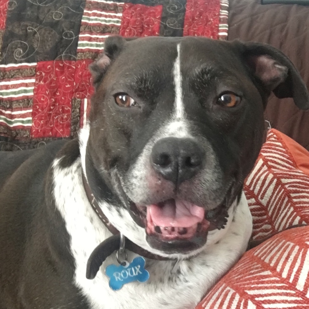 Meet Your Seller 🌺