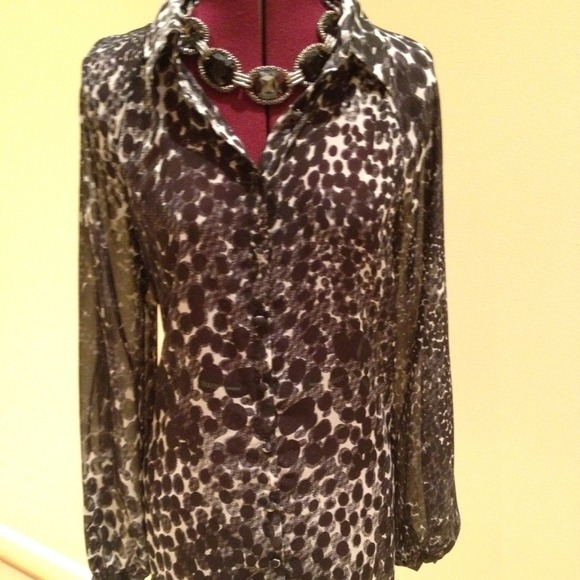 Silky Blouse