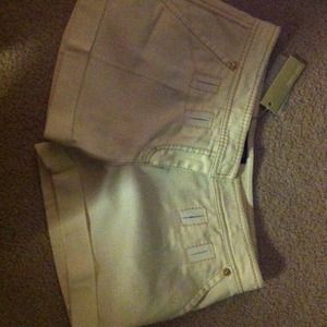 Robert cavalli shorts with cuffed  completely new!