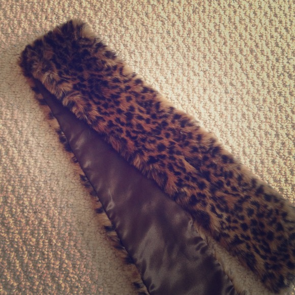 Express Scarf