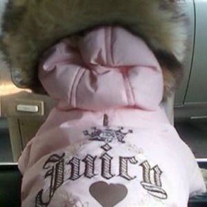 Juicy authentic jacket