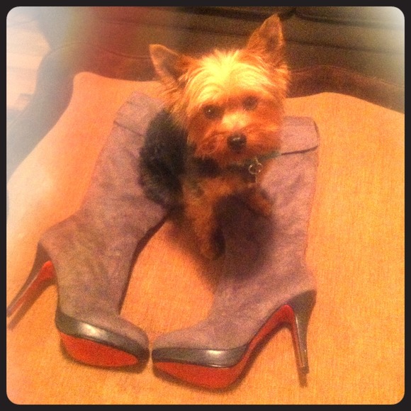 Super cute knee high, grey microfiber heeled boots