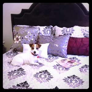 Shop my mom's closet-I need more bones!!!