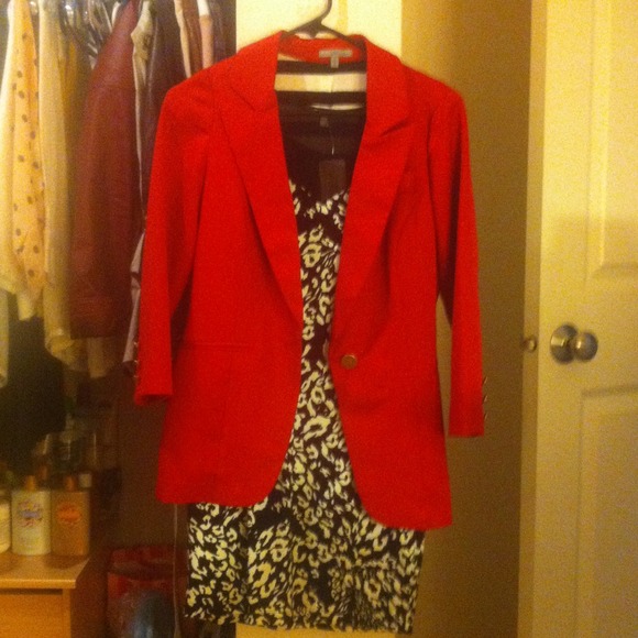 Cougar Black&White Bodycon Dress w/ Sheer Panel