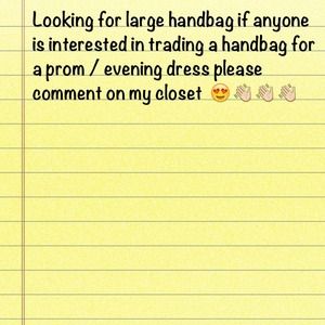 Looking for large handbag