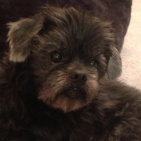 😎 BUNDLE & SAVE 30% 🐾🐾 75% to Animal Rescue🐾🐾 - Picture 2 of 5