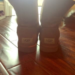 Barely worn chestnut colored Uggs!