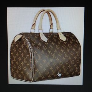 Louis Vuitton handbag