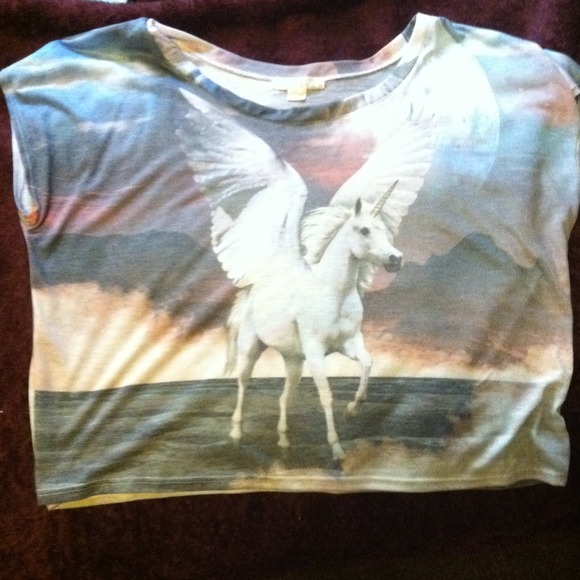 Unicorn Pegasus oversized shirt - Picture 1 of 2