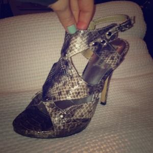 Snakeskin Steve Madden Heels
