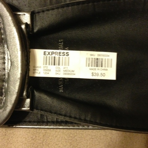 BNWT Sexy Silver/Grey Express Belt in Size Medium. - Picture 4 of 4