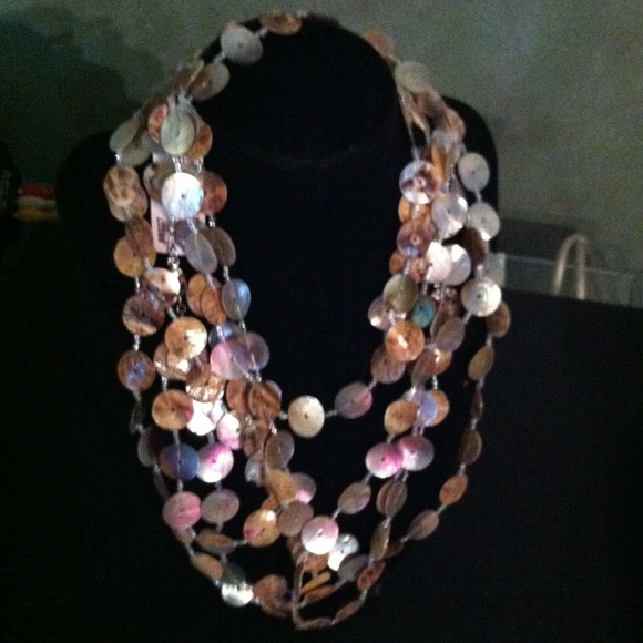 Real sea  shells,by Cookie lee