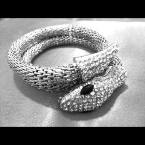 Snake bracelet/arm wrap from Express
