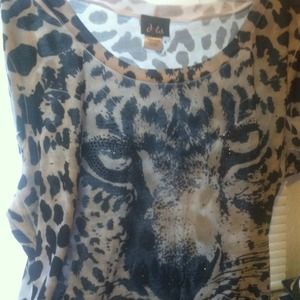 Dots Plus Size Top 2x