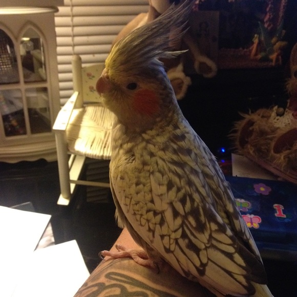 ❤️THANKS FOR THE FEEDBACK❤️ 😘👍 - Picture 3 of 3