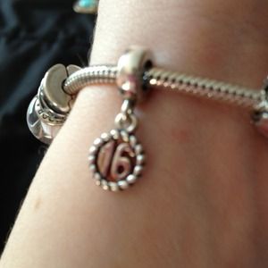 Pandora charm! 16!