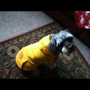 This my pup Lucky, no he is not for sale!🐾