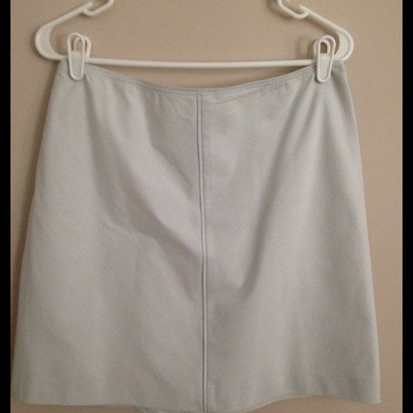 Ann Taylor Skirt