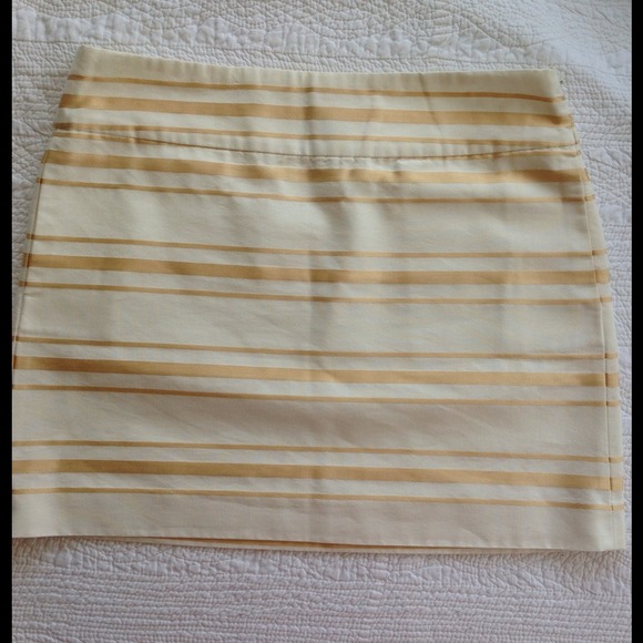 Gold Striped Skirt