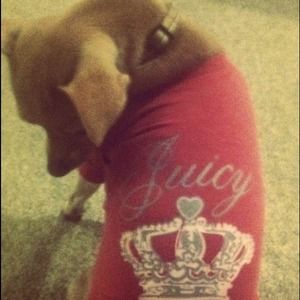 Juicy puppy shirt🐶