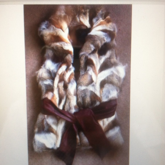 A.L.C. Outerwear - ALC FOX FUR VEST From Fall 2013, orig $3000!