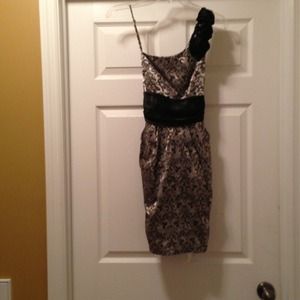 Silver and Black dress