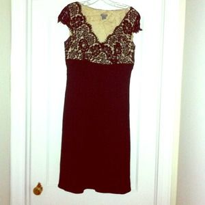 Ann Taylor Lace Dress