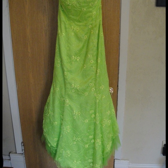 4 beautiful Prom or special occasion dresses!