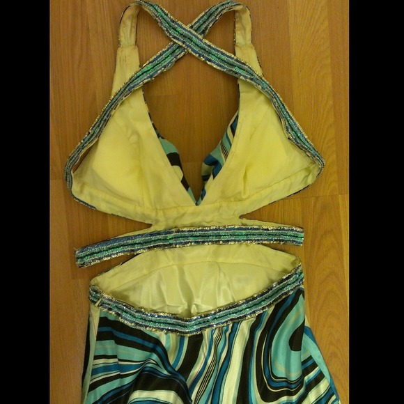 Cache' Dress - Picture 2 of 3