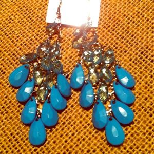 💌New blue chandelier earings