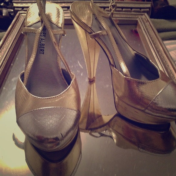 Charles Albert Gold Heels