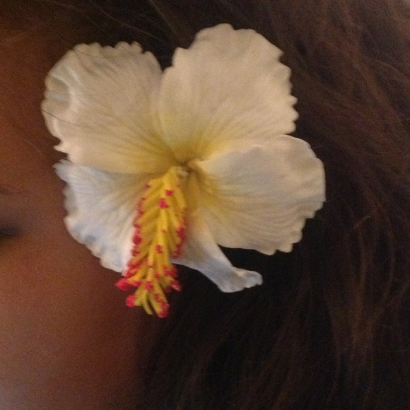 WHITE HIBISCUS - Picture 2 of 2