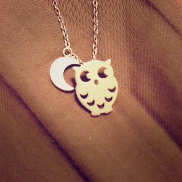 Brushed Silver Owl Moon Necklace